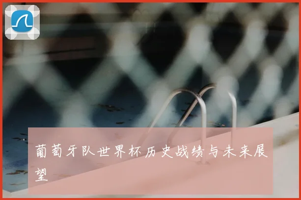 葡萄牙队世界杯历史战绩与未来展望