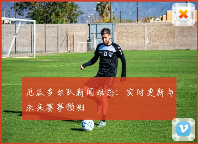 厄瓜多尔队新闻动态:实时更新与未来赛事预测